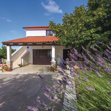 Amazing Apartment In Pazin With Wifi Katun Lindarski Eksteriør billede